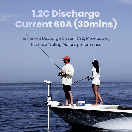 1.2C Discharge