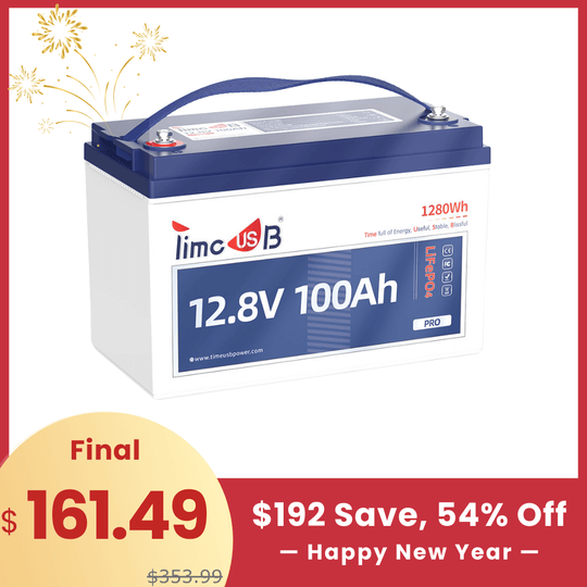 【🔥New Year Sale】Timeusb 12V 100Ah LiFePO4 Battery Pro