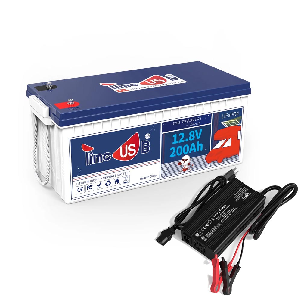 Timeusb 12V 200Ah battery, Build-In 100A BMS with charger