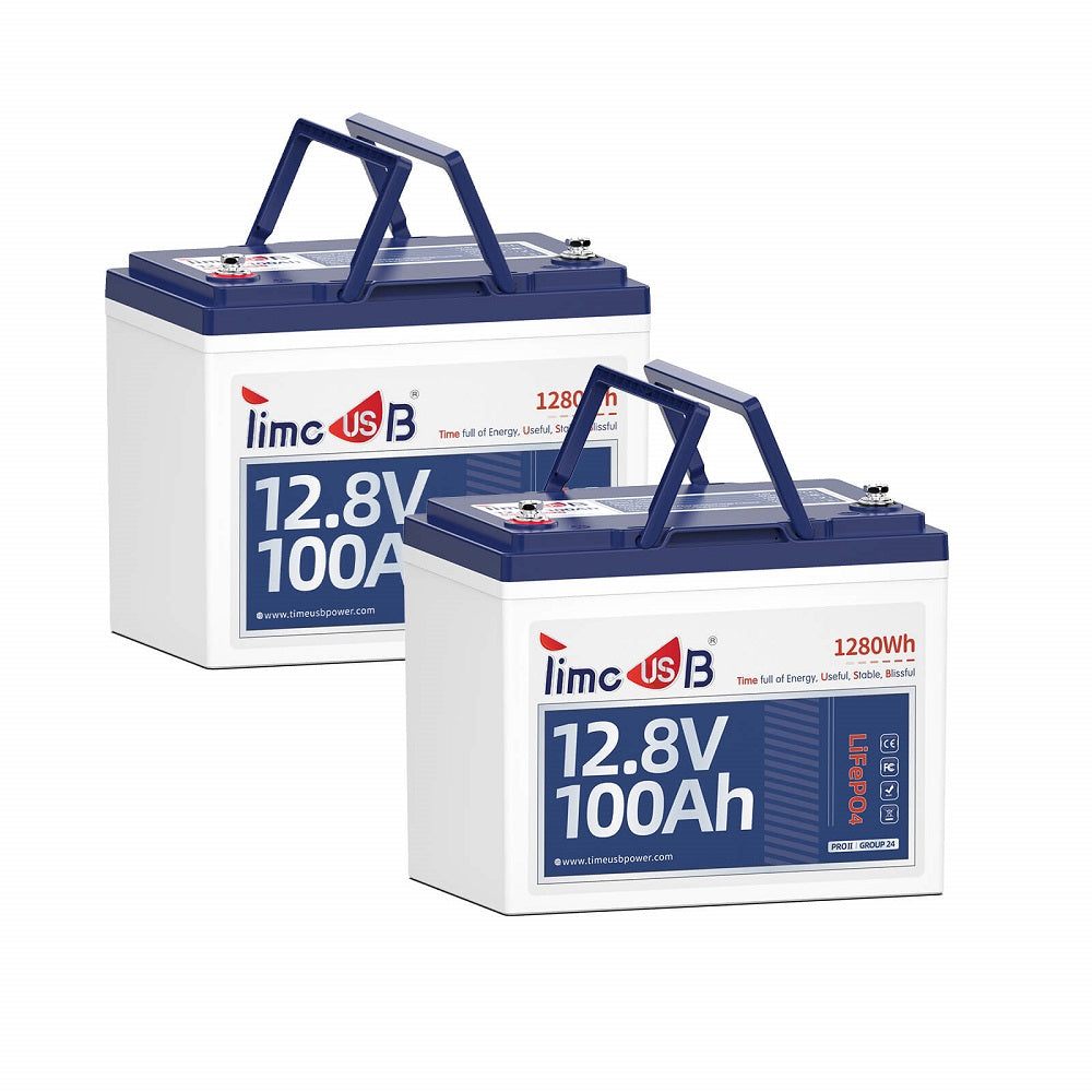 2_pack_12V_100Ah_group24_lithium_battery