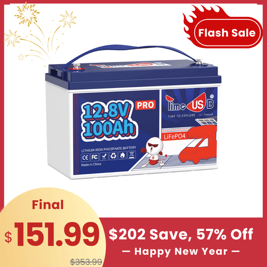 【🔥New Year Sale】Timeusb 12V 100Ah LiFePO4 Battery Pro