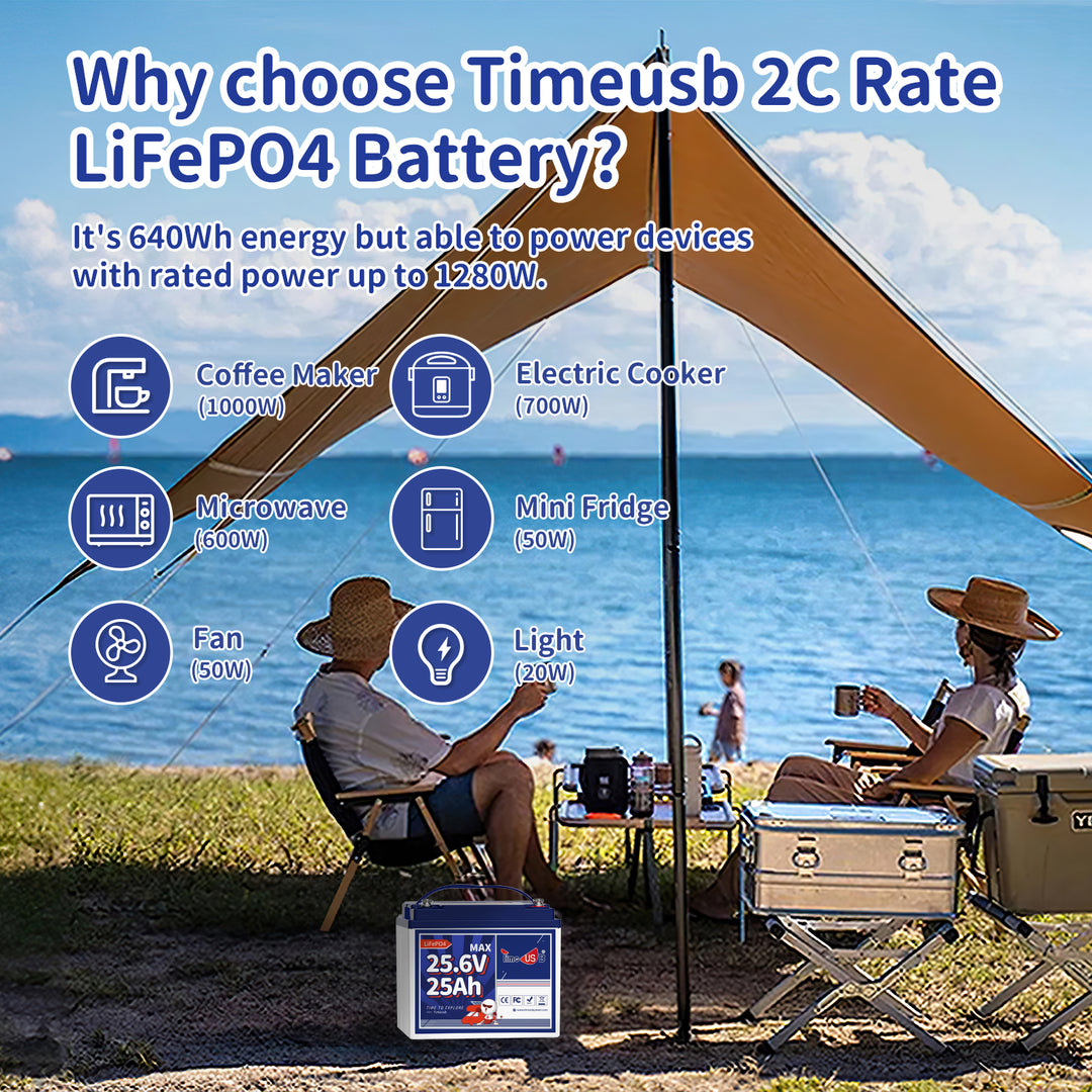 The reason of choosing Timeusb 2C rate LiFePO4 battery