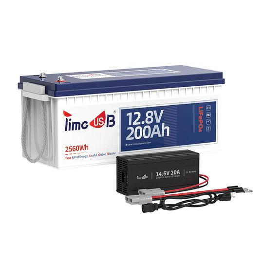 Timeusb 12V 200Ah LiFePO4 battery with 14.6V 20A LiFePO4 battery charger